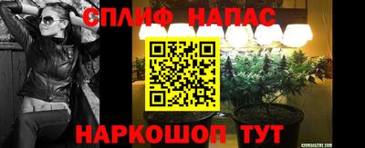 стаф Бузулук